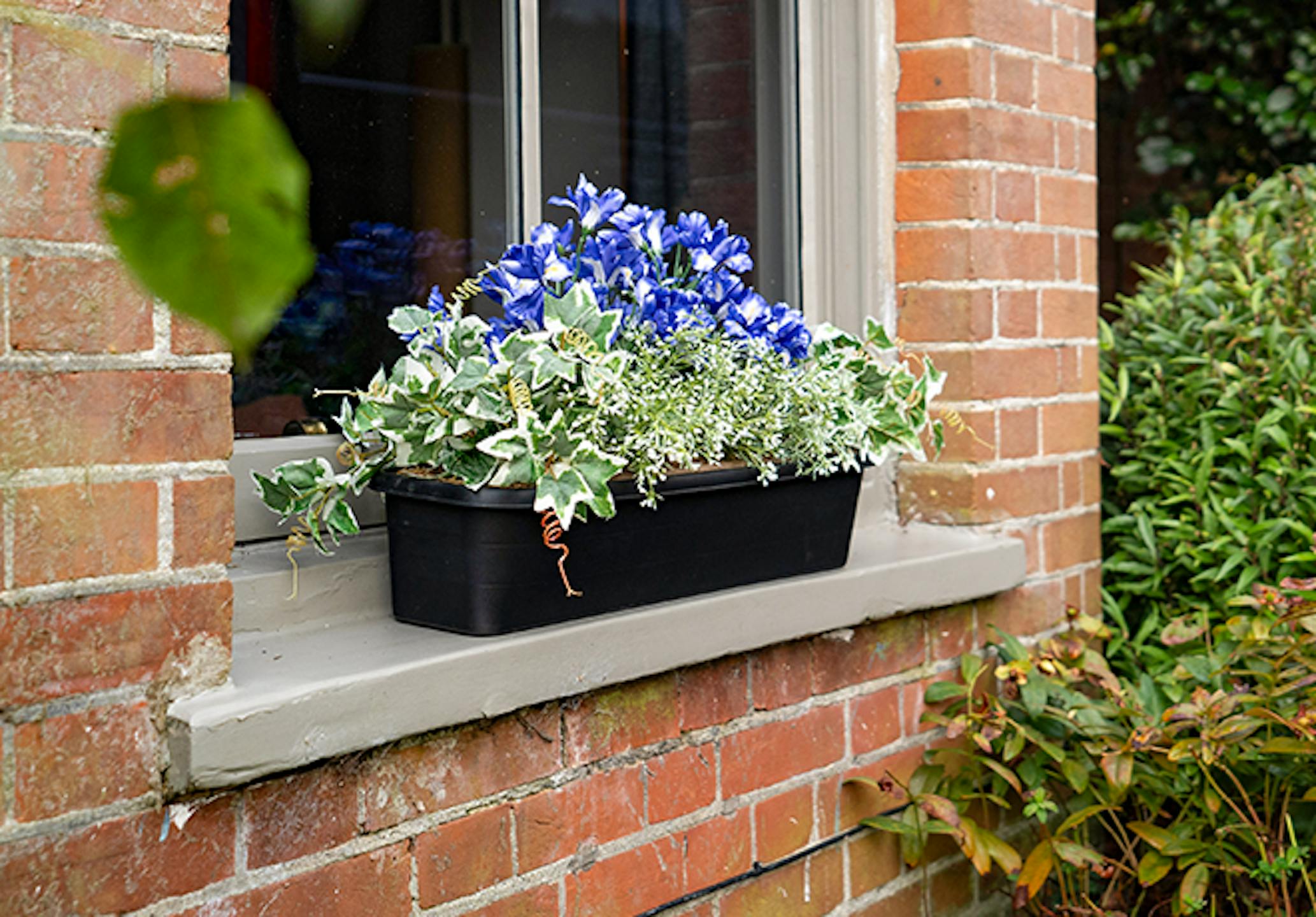 Artificial blue iris window box on outside window ledge