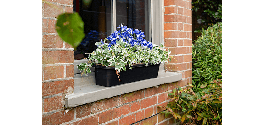 Artificial blue iris window box on outside window ledge