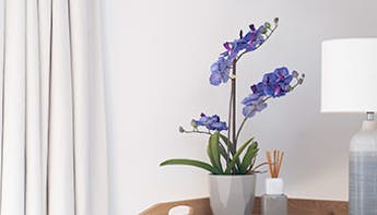 Artificial orchid collection
