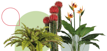 Artificial plants exploding header graphic