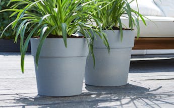 Pots and planters