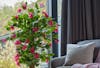 Bougainvillea artificial flowering tree preview image link
