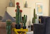 Artificial cacti and succulents collection
