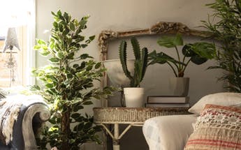 Artificial ficus plants and fiscus trees