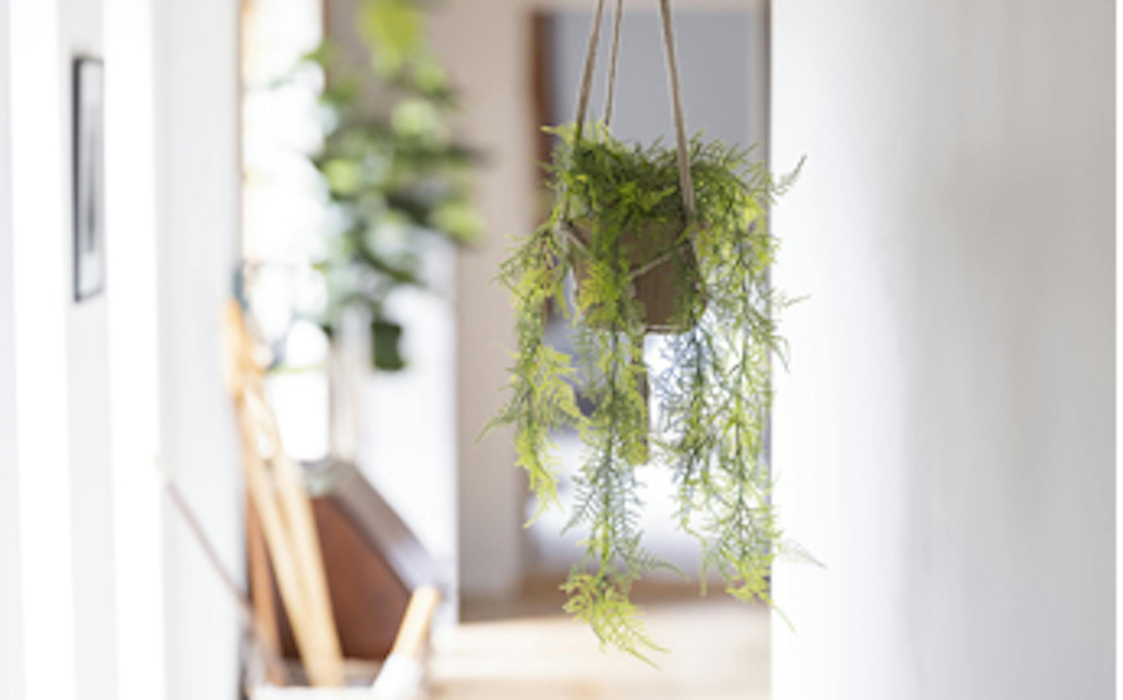Fake hanging and trailing plants collection