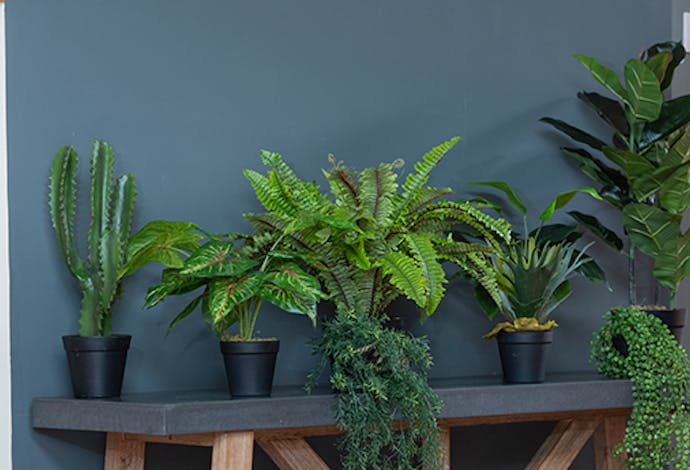 Blooming Artificial - Artificial Plants, Trees And Flowers