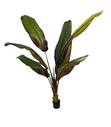Blooming Artificial - Samples Clearance - Discount Fake House Plants Tree Indoor