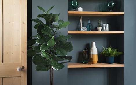 Artificial fiddle leaf fig tree in blue interior