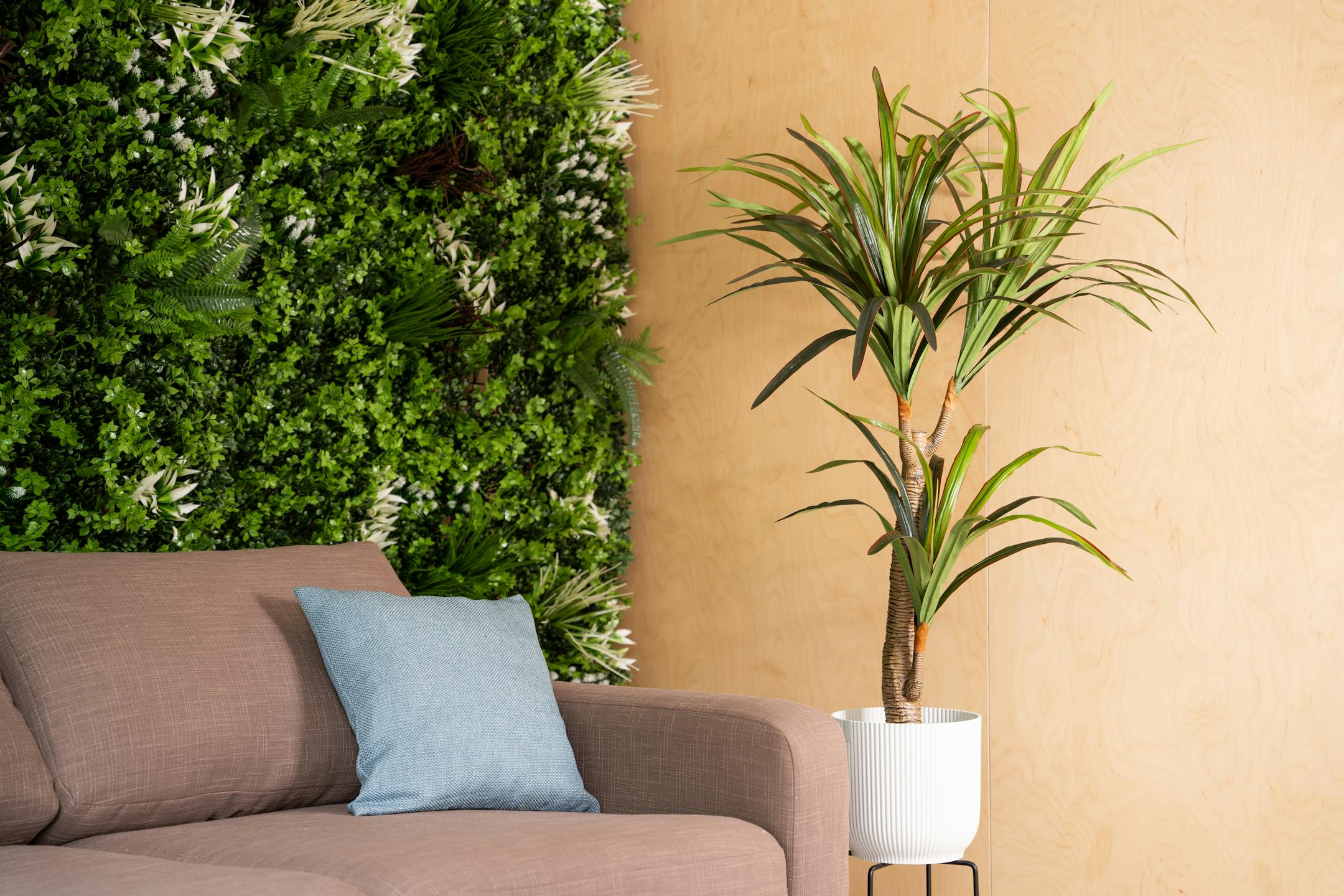 Artificial yucca plant next to brown sofa and living wall