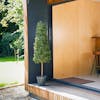 Artificial boxwood tower topiary tree outside garden cabin
