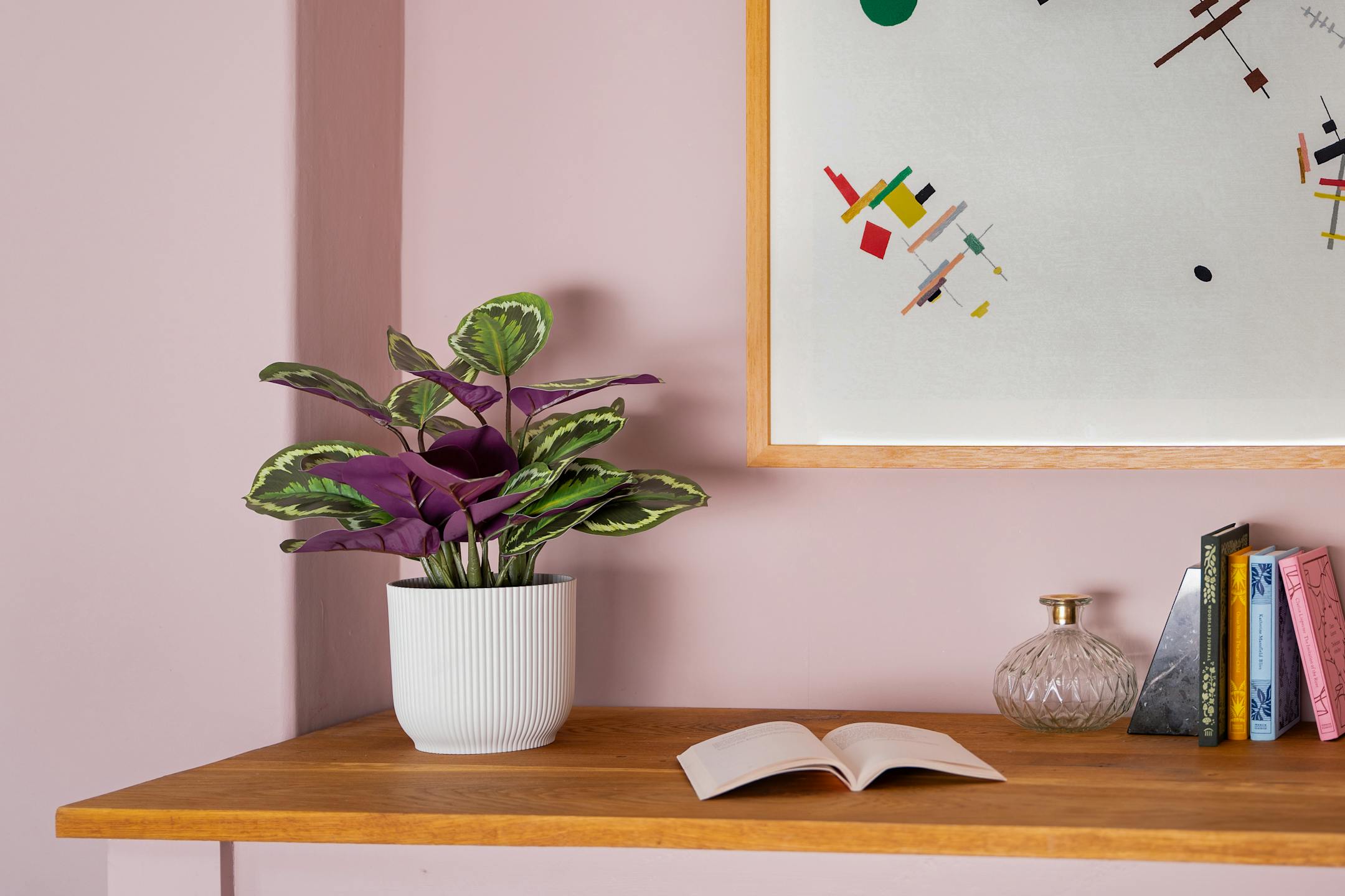 Artificial medallion calathea on wooden desk in pink home office