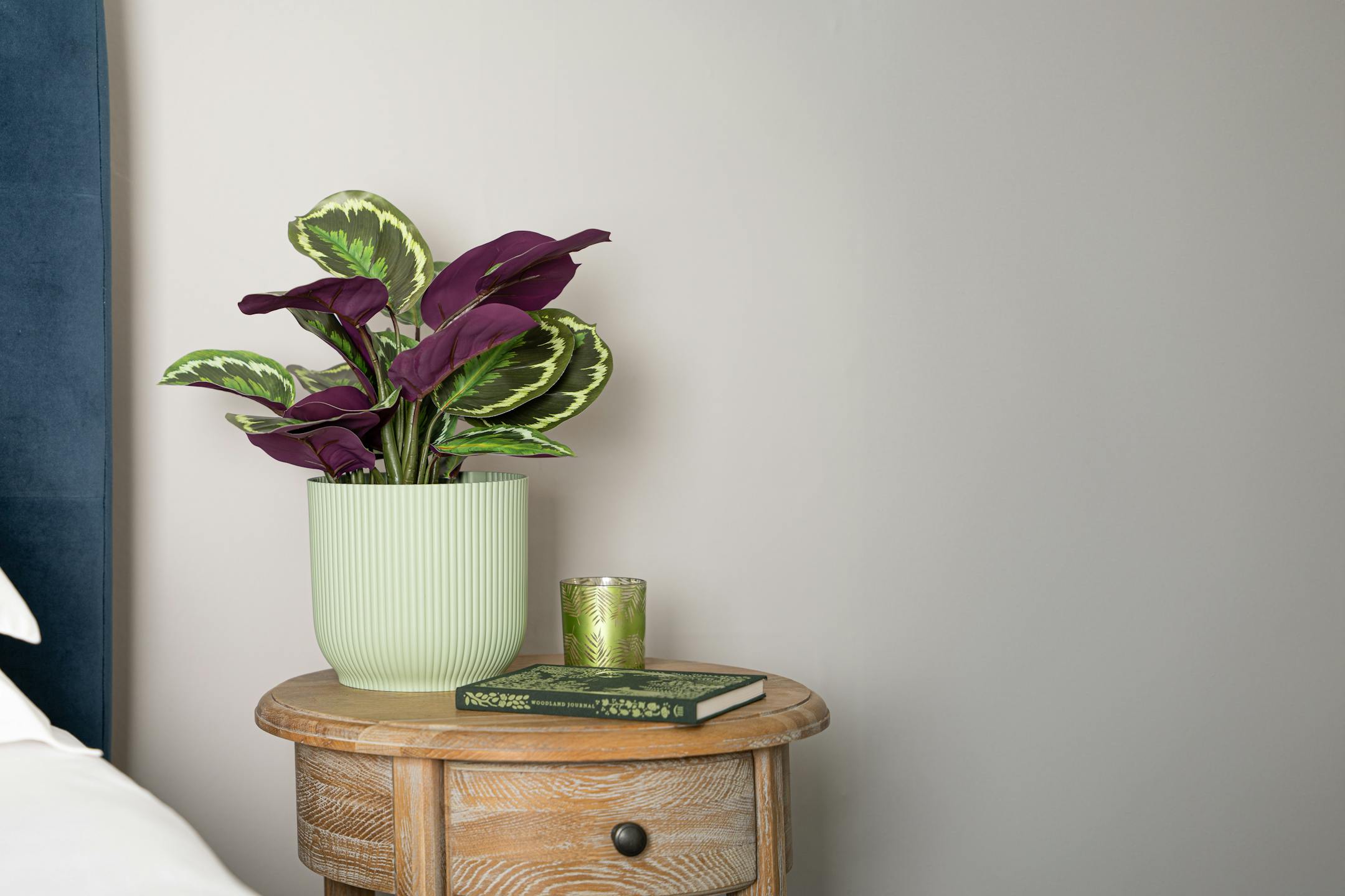 Artificial medallion calathea on wooden bedside table