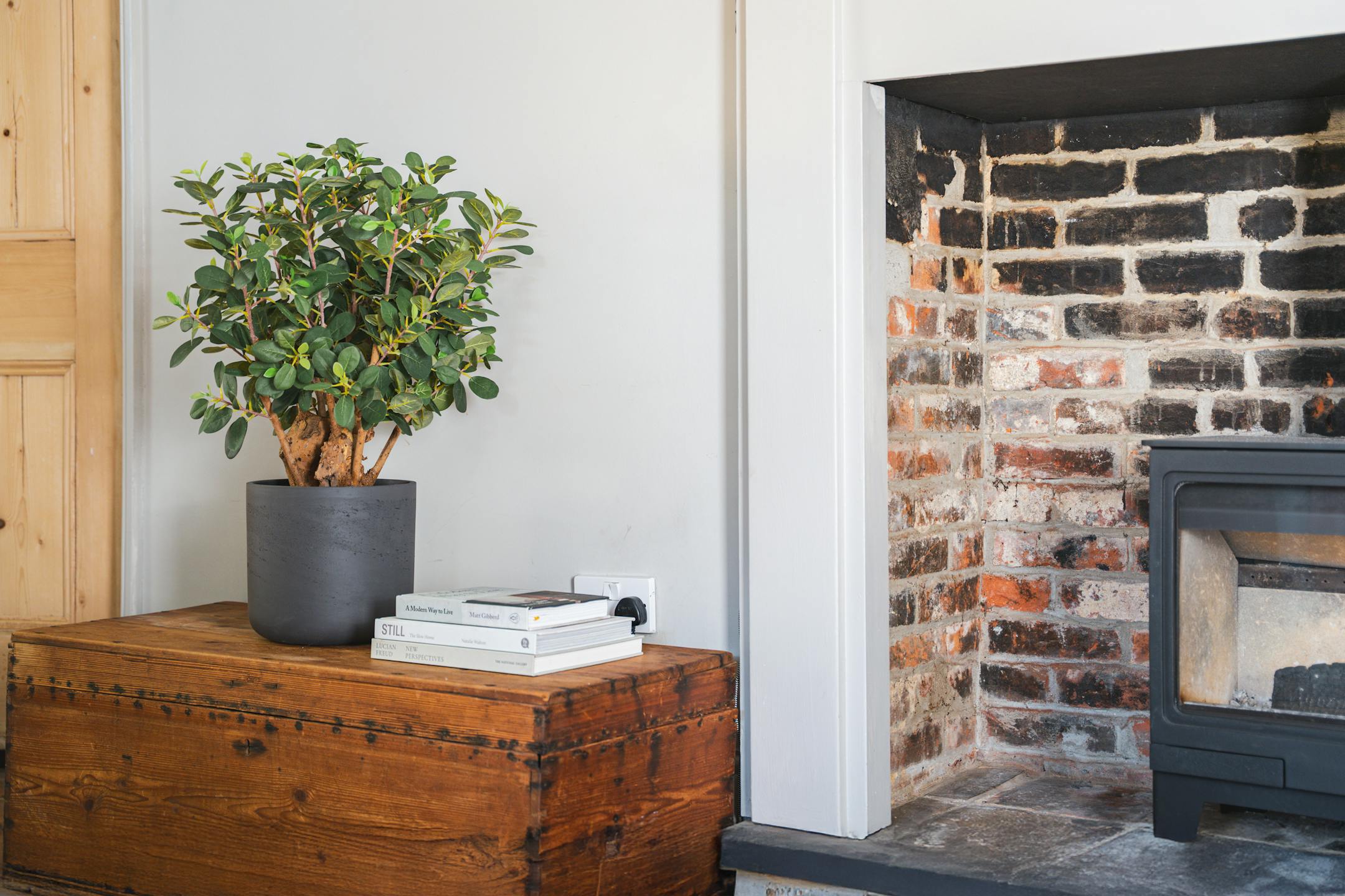 Artificial ficus panda plant on wooden chest by fireplace