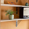 Artificial blechnum fern in orange bedroom on wooden shelf