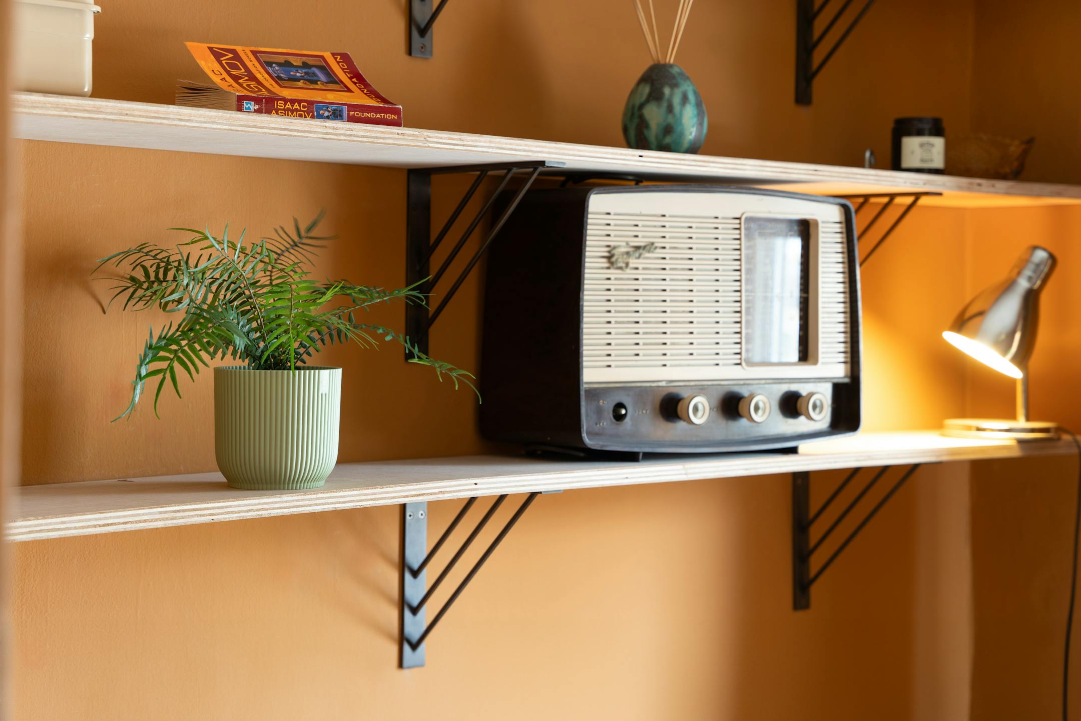 Artificial blechnum fern in orange bedroom on wooden shelf
