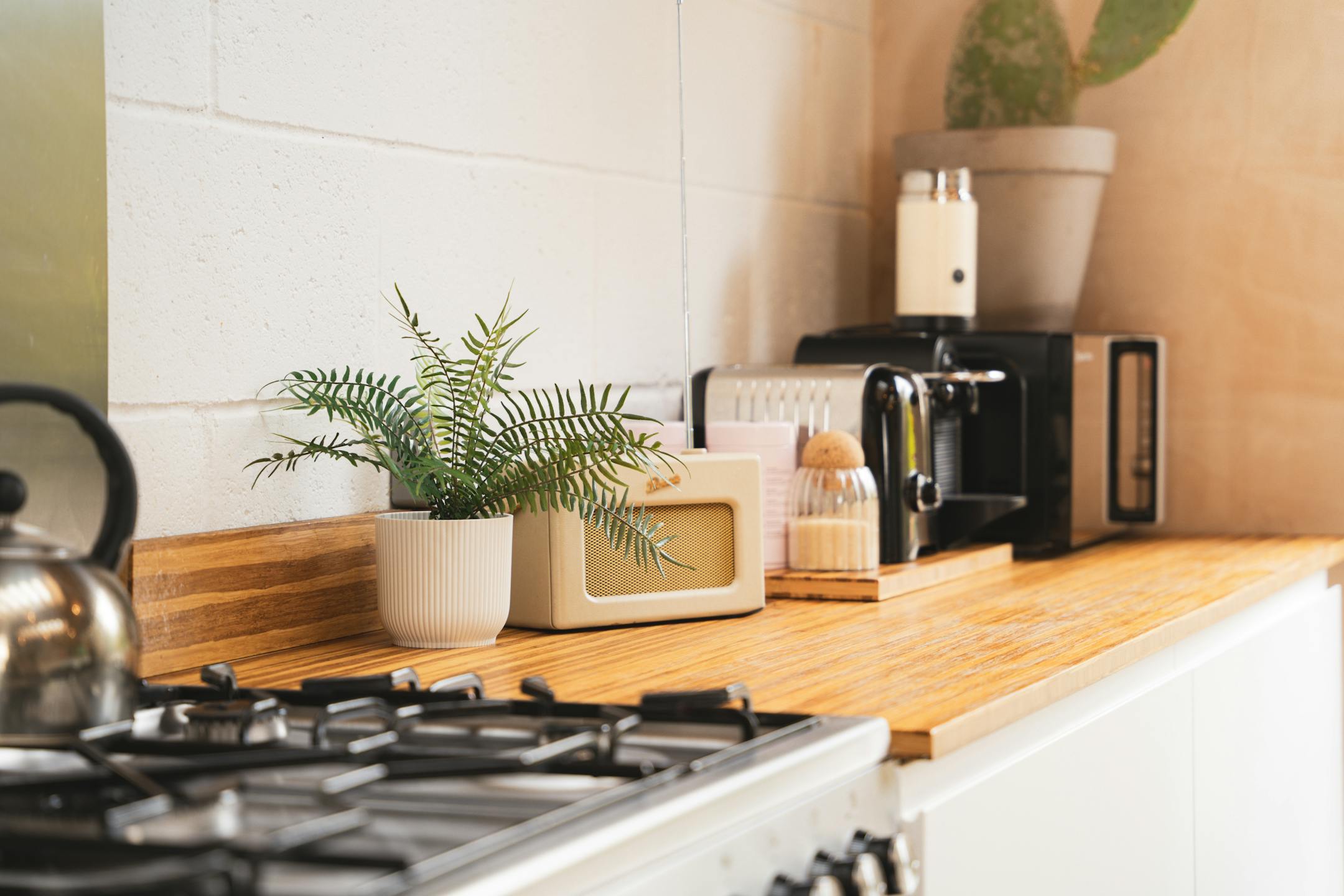 Artificial blechnum fern on kitchen worktop in white pot