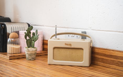 Artificial bunny ear cactus on wooden kitchen worktop with radio