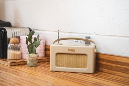 Artificial bunny ear cactus on wooden kitchen worktop with radio