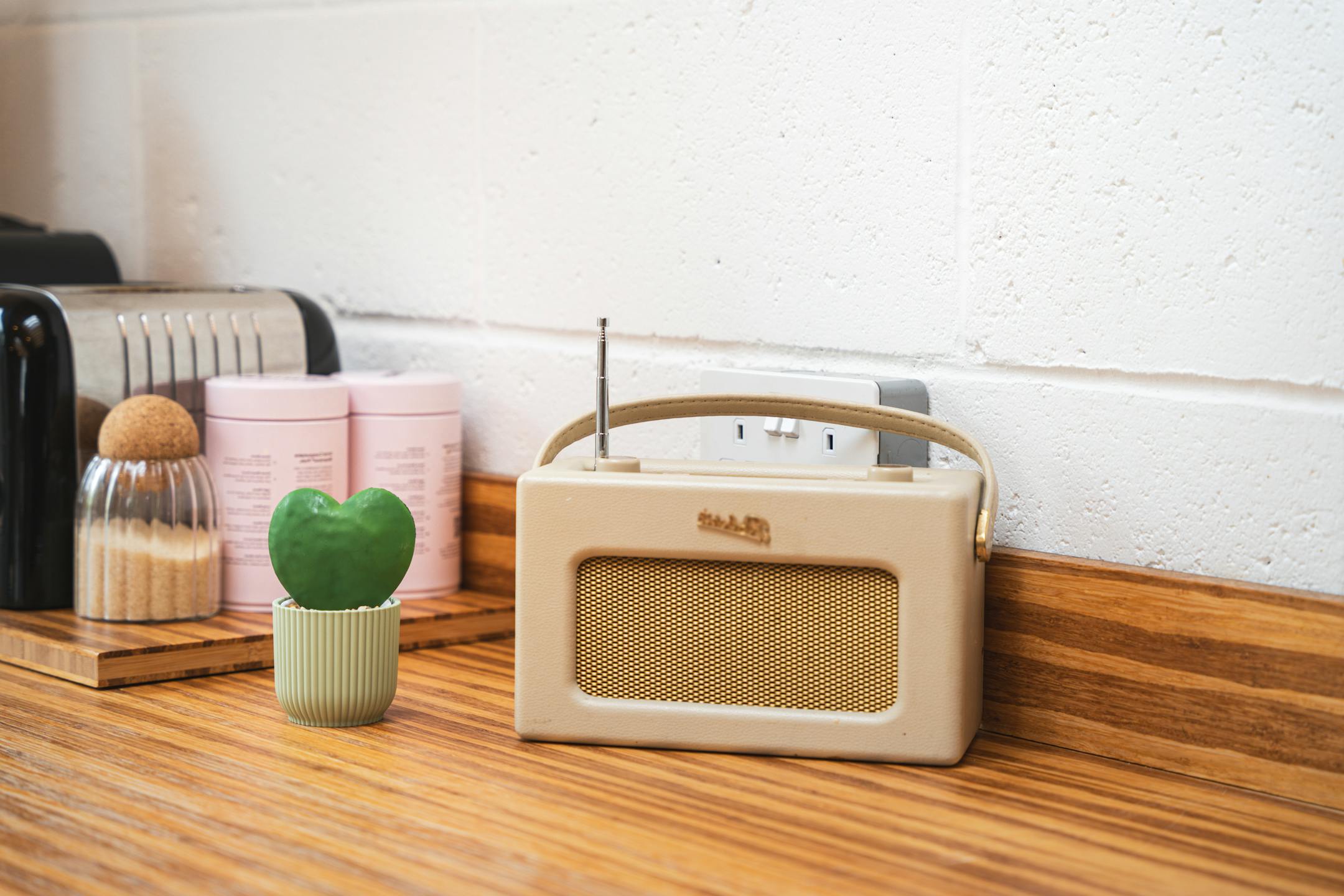 Artificial green hoya heart next to radio