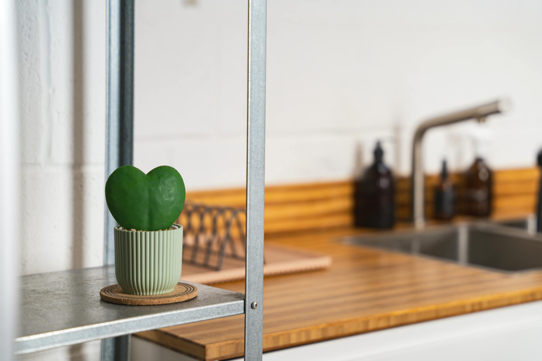 Artificial hoya heart in green vibes pot on metal shelf in kitchen