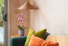 Artificial pink vanda orchid near blue sofa with rattan lamp