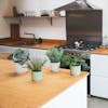 Artificial small plants in pots on wooden kitchen island
