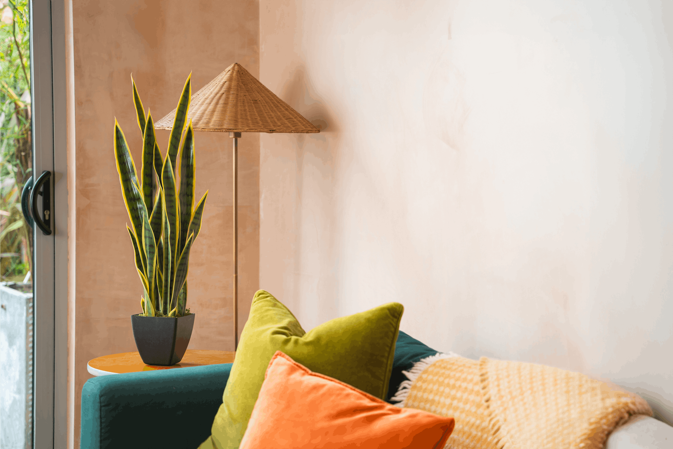 Artificial variegated sansevieria with blue sofa against raw plaster wall