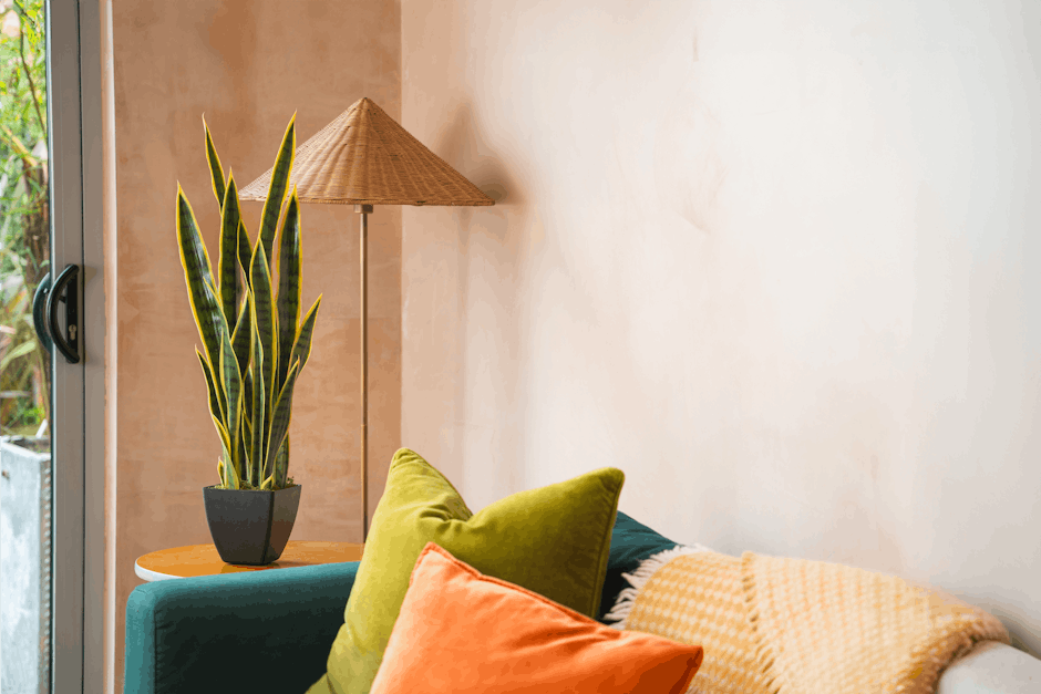 Artificial variegated sansevieria with blue sofa against raw plaster wall