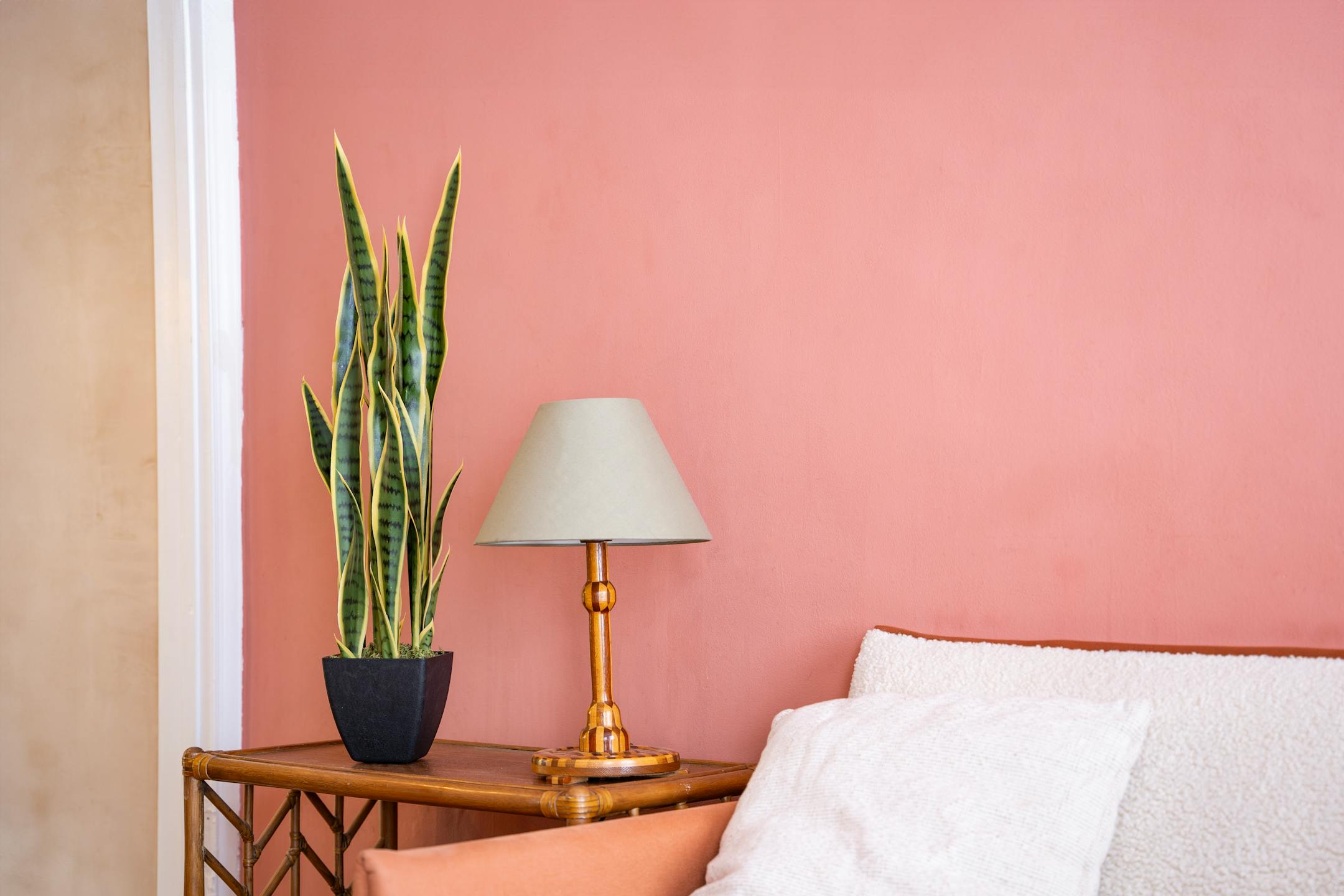 Artificial variegated sansevieria in pink living room