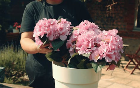 Pink faux hydrangea flowers in plant pot