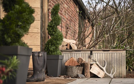 Artificial cedar spiral topiary trees outside rustic building article header