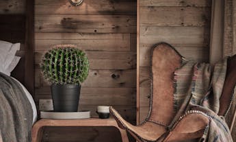 Rustic wooden interior with artificial ball cactus on console table