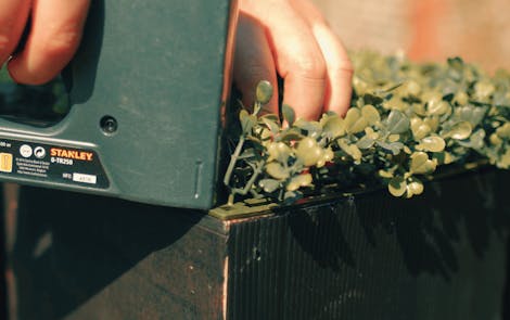 Staple hedge mats to wooden frame