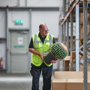 Blooming Artificial warehouse worker picking a faux cactus