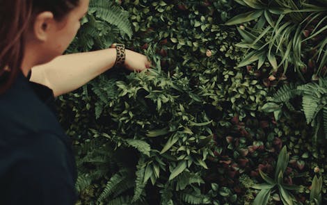 Artificial living wall in garden