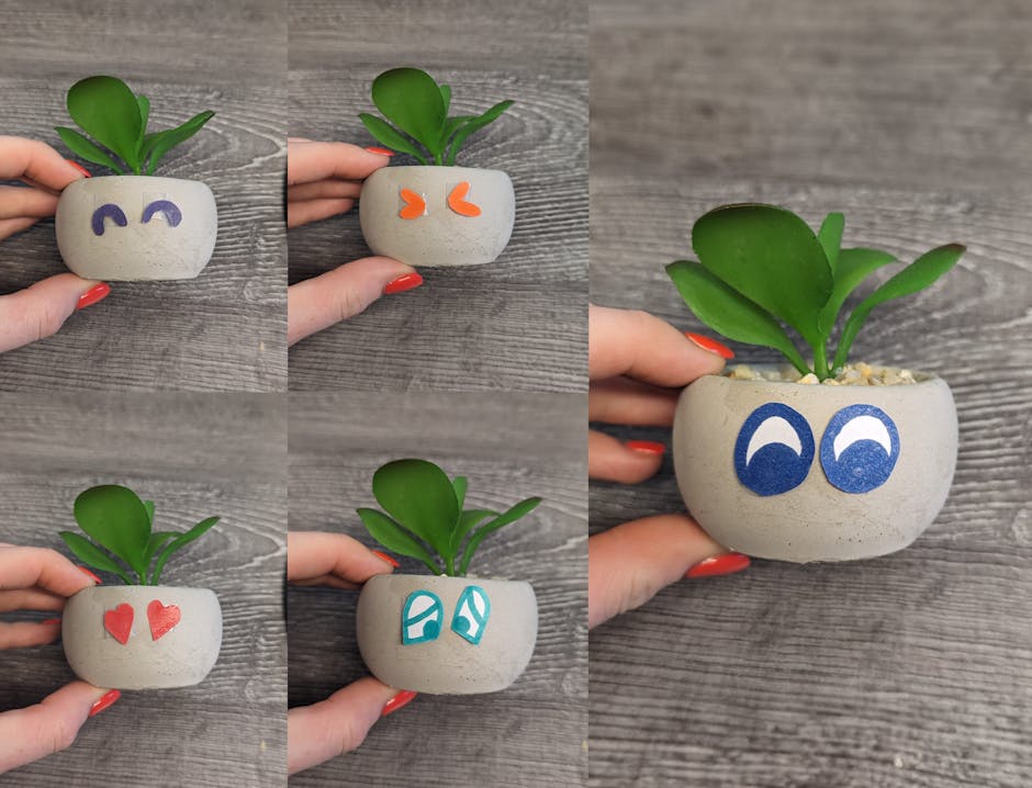 DIY Craft - different faces on different succulents