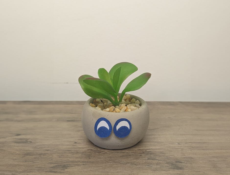 Artificial succulent with a face