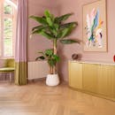 Artificial musa basjoo banana tree in pink interior