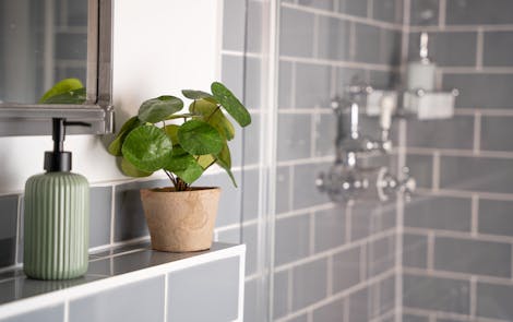 Artificial pilea bush in grey bathroom