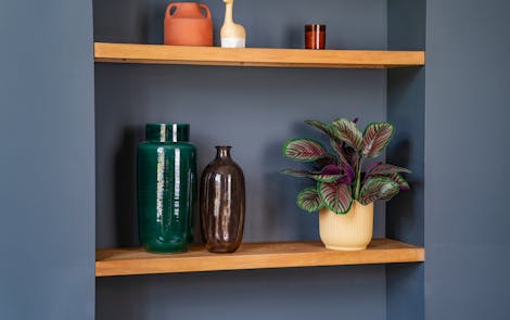 Faux pinstripe calathea on wooden shelf