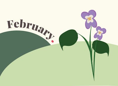 February flower of the month blog post graphic