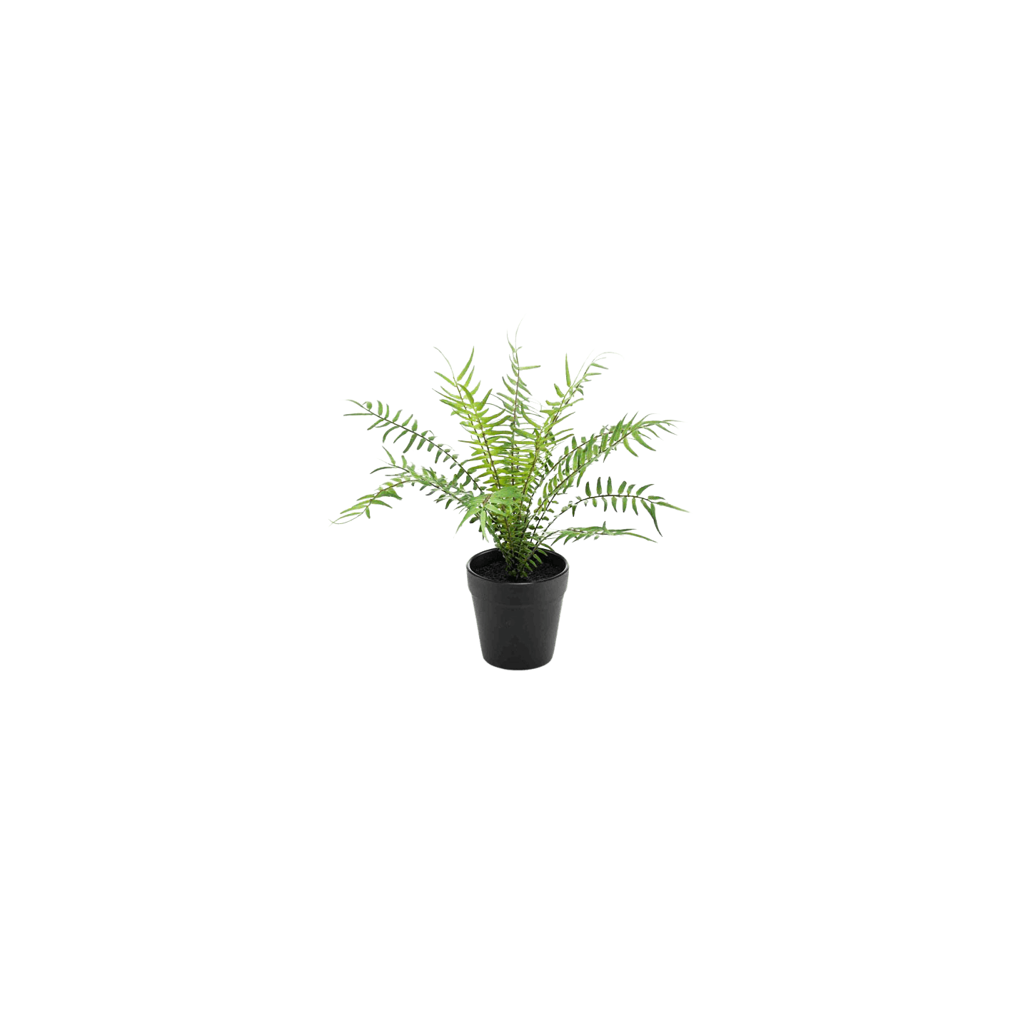 Small artificial fern plant by Blooming Artificial