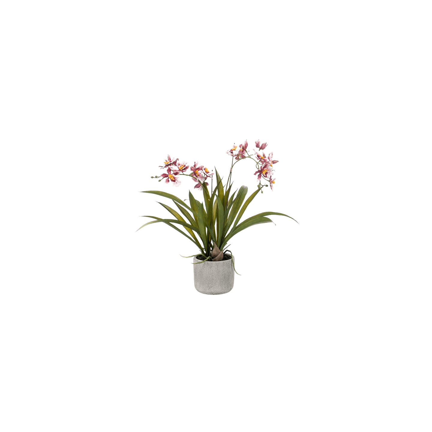 Artificial orchid flower in decorative grey cement pot