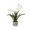 White faux onicidium orchid in grey planter