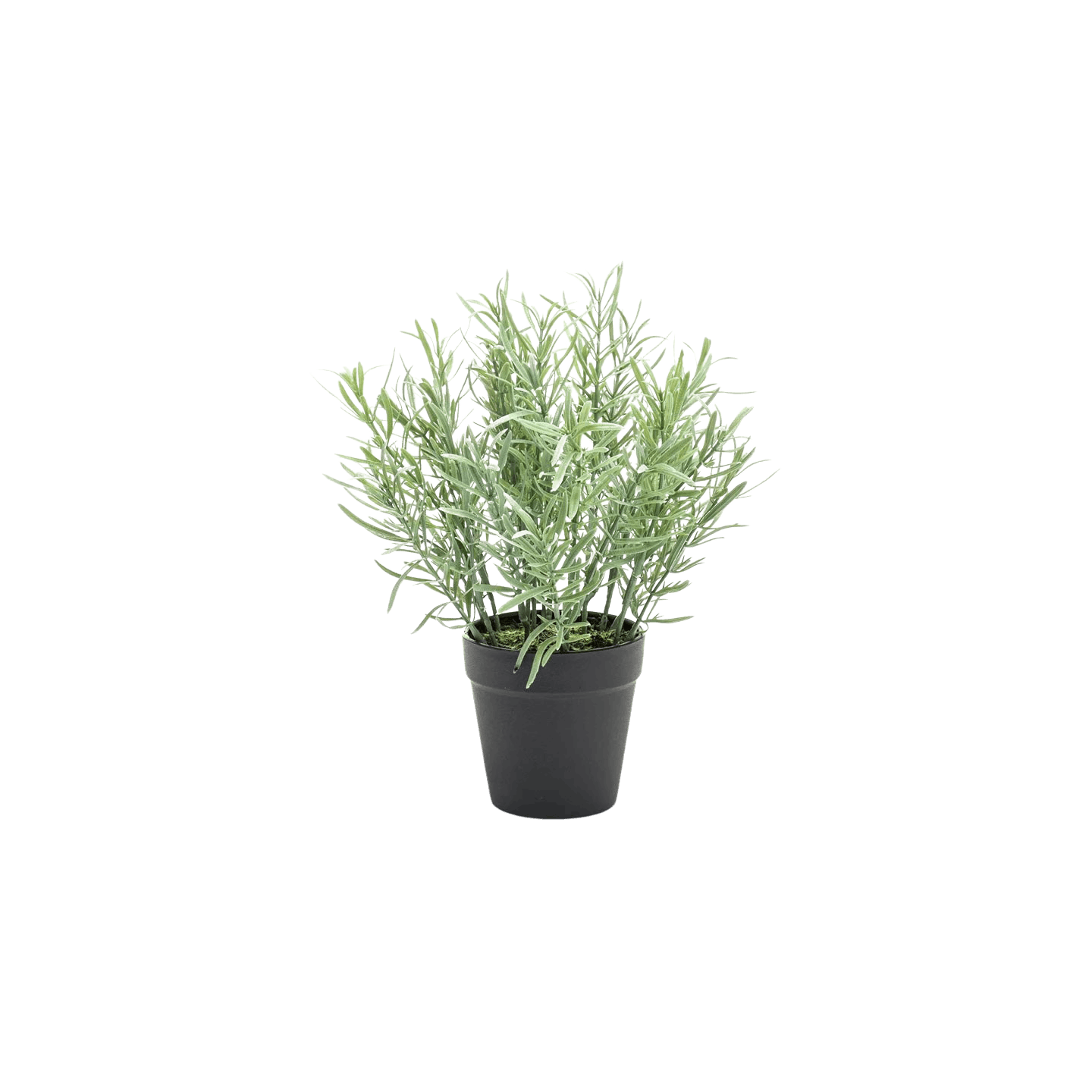 Artificial rosemary herb plant