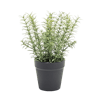 Faux thyme herb plant by Blooming Artificial