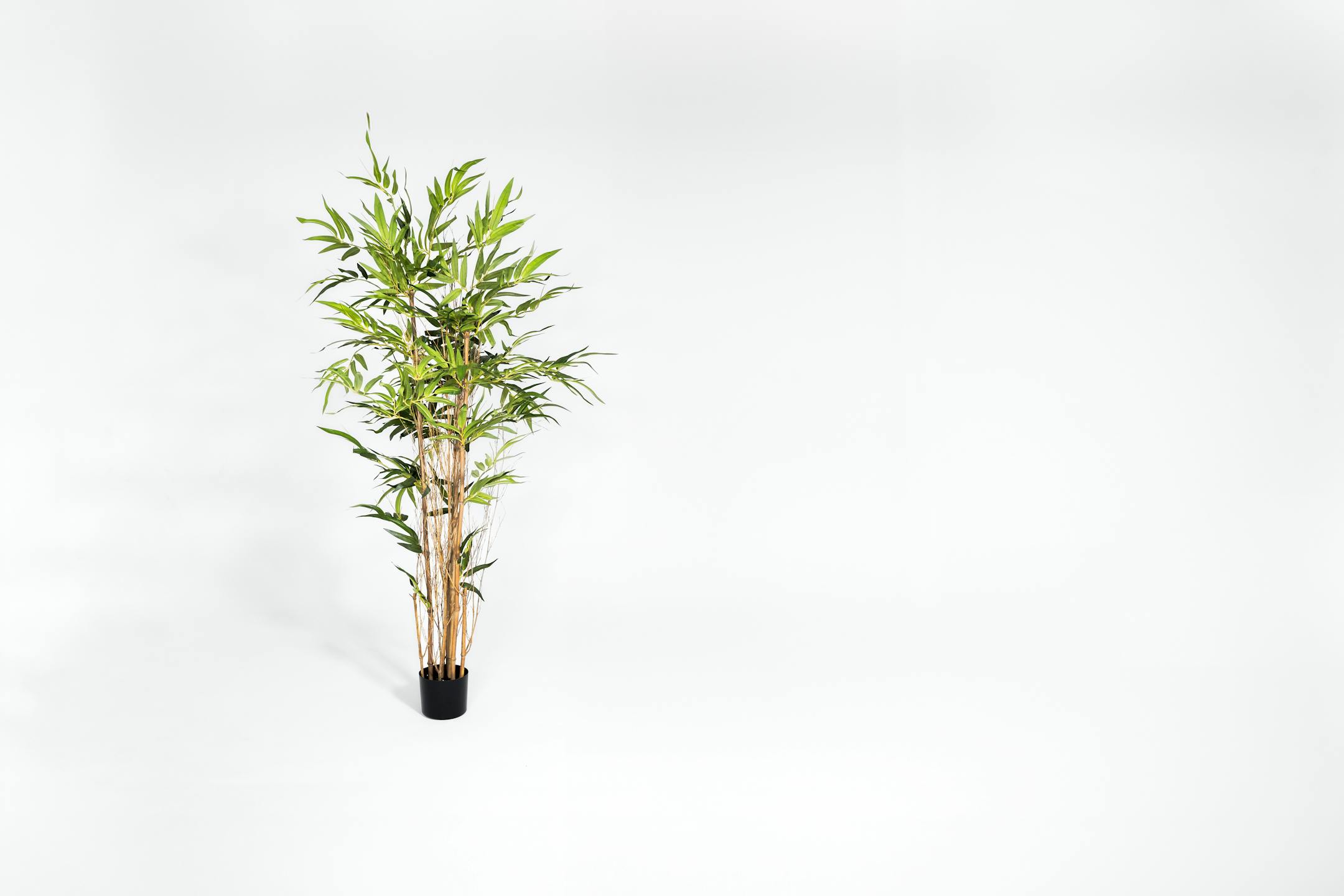 Artificial 150cm natural bamboo tree