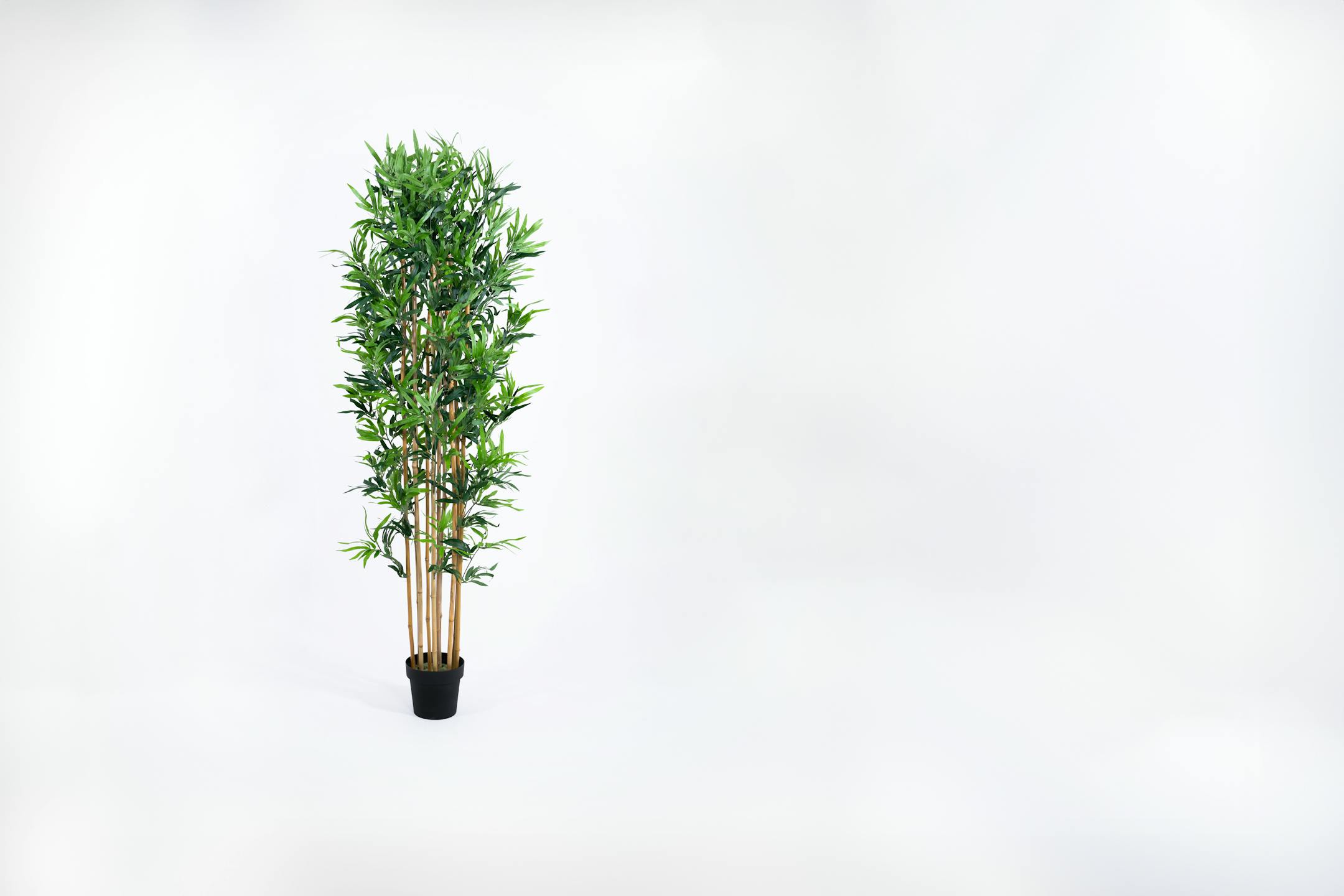 Artificial 180cm oriental bamboo tree