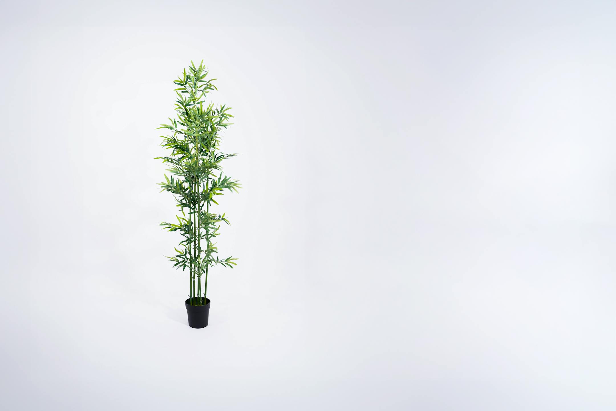 Artificial green stem bamboo tree