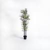 Artificial 170cm black stem bamboo tree